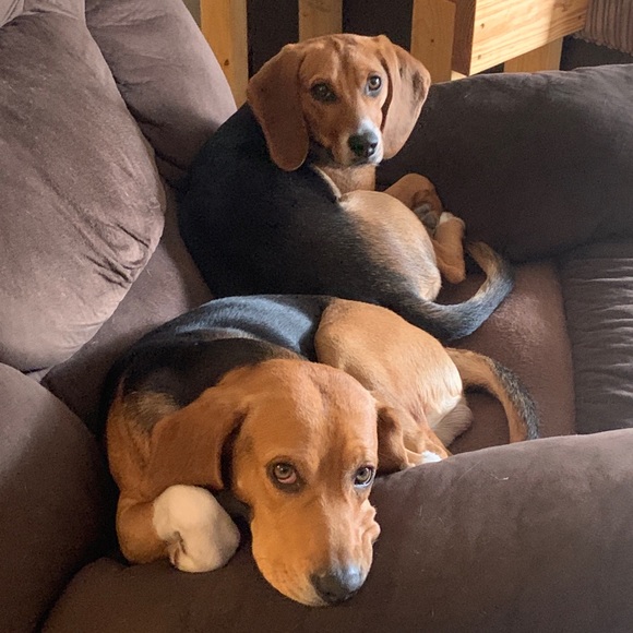 Meet your Posher, Jodecci - Picture 3 of 4